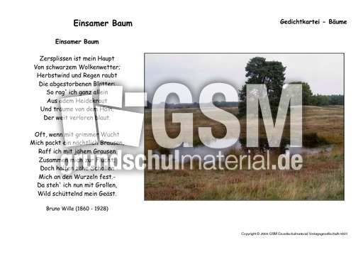 Einsamer Baum-Wille.pdf